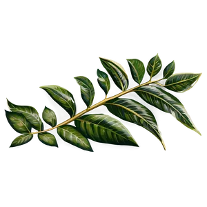 Hand Drawn Laurel Png Bak19 PNG Image