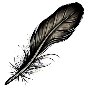 Hand-drawn Mono Feather Png Qwh79 PNG Image