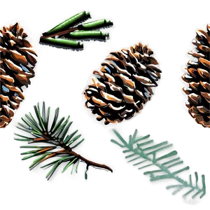 Hand-drawn Pinecone Sketch Png 23 PNG Image