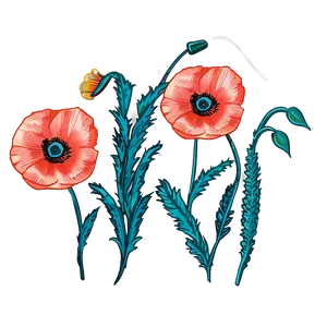 Hand-drawn Poppy Sketch Png 06112024 PNG Image