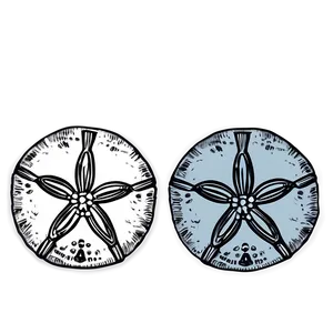 Hand Drawn Sand Dollar Png Gkk63 PNG Image