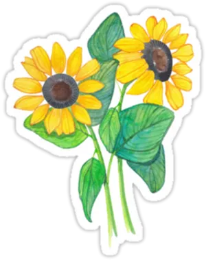 Hand Drawn Sunflowers Artwork PNG Image