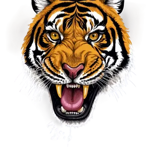 Hand Drawn Tiger Face Png Xip PNG Image