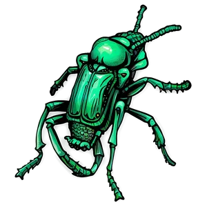 Hand-drawn Weevil Png Rlp22 PNG Image