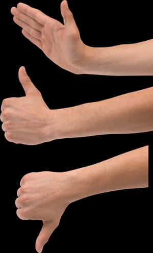 Hand Gestures Thumbs Up Down Side PNG image with transparent background