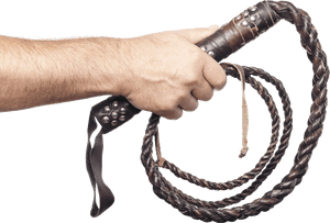 Whip Png Transparent Background - Hand Holding A Whip, Png Download PNG image with transparent background