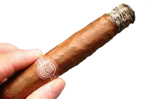 Hand Holding Lit Cigar PNG Image