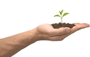 Soil In Hand Png - Soil In Hand, Transparent Png PNG with transparent background