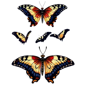 Hand Painted Butterfly Png 06262024 PNG Image