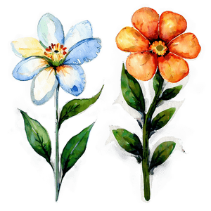 Hand Painted Flowers Watercolor PNG 05252024 PNG image with transparent background