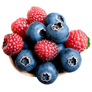 Hand-Picked Berries PNG 48 PNG with transparent background