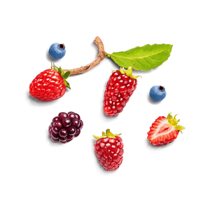 Hand-Picked Berries PNG flf PNG with transparent background