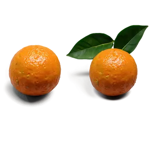 Hand-picked Oranges Png Vty62 PNG Image