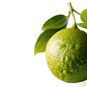 Hand-Squeezed Lime Juice PNG 05242024 PNG image with transparent background