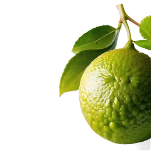 Hand-squeezed Lime Juice Png 05242024 PNG Image