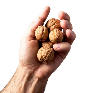 Handful Of Walnuts Png Ivm15 PNG Image