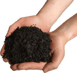 Soil In Hands Png - Soil In Hand Png, Transparent Png PNG with transparent background