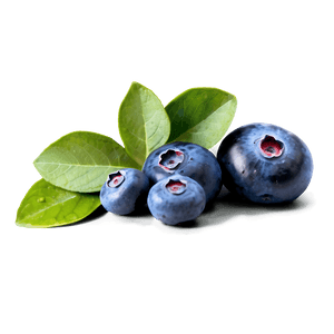 Handpicked Blueberries PNG 05242024 PNG image with transparent background
