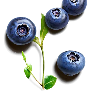 Handpicked Blueberries Png 05242024 PNG Image