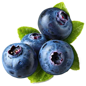 Handpicked Blueberries Png Ony PNG Image