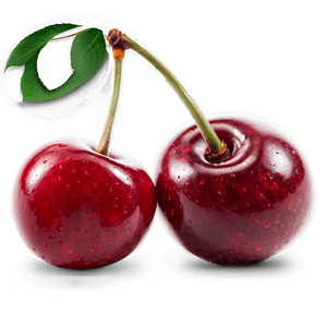 Handpicked Cherries PNG oha31 PNG with transparent background