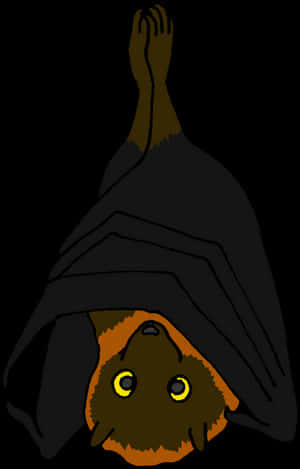 Hanging Bat Illustration PNG image with transparent background