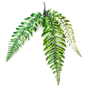 Hanging Fern Leaf Decoration Png Jbj PNG Image