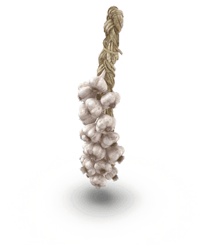 Garlic Png Background Image - Hanging Garlic Png, Transparent Png PNG with transparent background