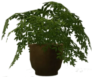 Hanging Green Plantin Brown Pot PNG Image