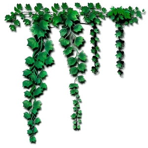 Hanging Green Vines PNG Image