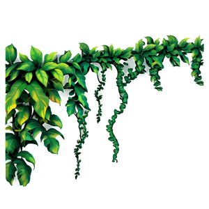 Hanging Jungle Vine PNG 05042024 PNG