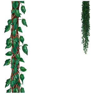 Hanging Jungle Vine PNG 93 PNG