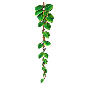 Hanging Jungle Vine PNG hpc10 PNG