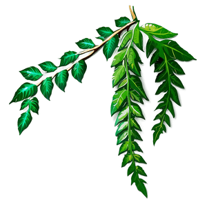 Hanging Jungle Vine PNG xxj PNG
