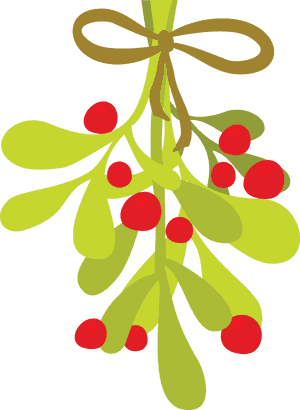 Mistletoe Vector - Mistletoe Clipart PNG with transparent background