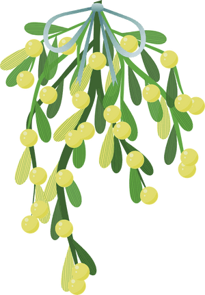 Wishbone Mistletoe Happy New Year Glückliches Neujahr - Mistletoe Illustration Png PNG with transparent background