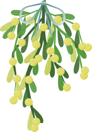 Hanging Mistletoe Illustration PNG Image