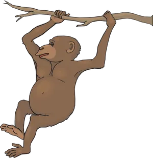 Hanging Monkey Cartoon PNG Image