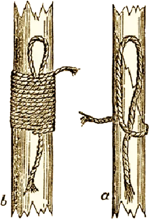 Hanging Noose Demonstration PNG Image