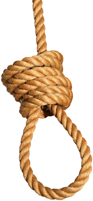 Hanging Noose Rope Knot PNG Image