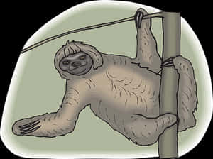 Hanging Sloth Cartoon Illustration PNG image with transparent background