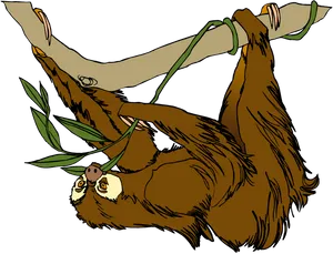 Hanging Sloth Cartoon Illustration PNG Image