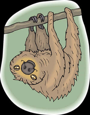 Hanging Sloth Cartoon Illustration PNG image with transparent background