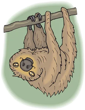 Hanging Sloth Cartoon Illustration PNG Image