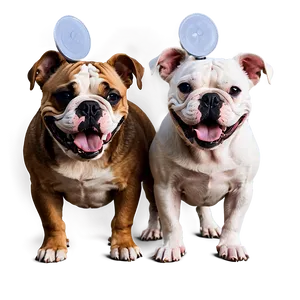 Happy Bulldogs Smiling Png Jiu96 PNG Image