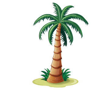 Happy Cartoon Palm Tree PNG 06212024 PNG
