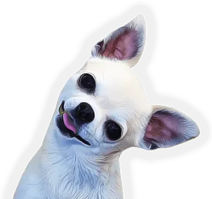 Happy Chihuahua Portrait PNG Image