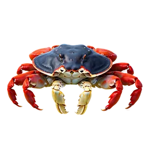 Happy Crab Png 24 PNG Image