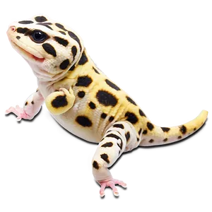 Happy Leopard Gecko Png Rdh PNG Image