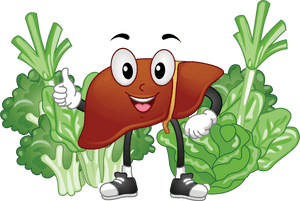 Happy Liver Character With Greens PNG with transparent background